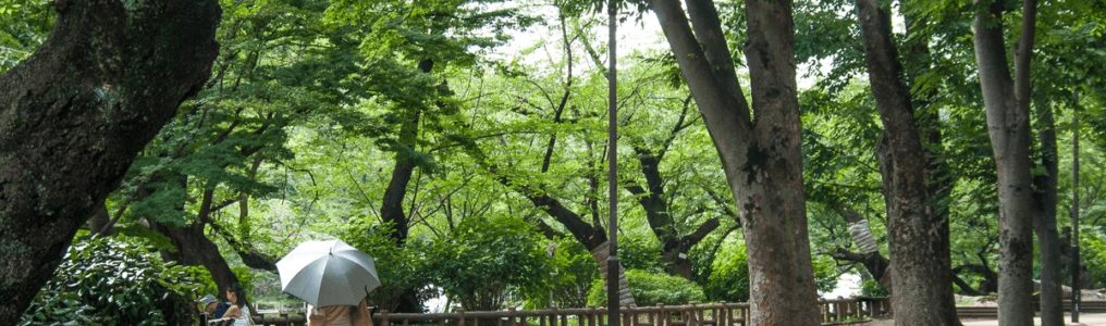 東京都武蔵野市 井の頭公園