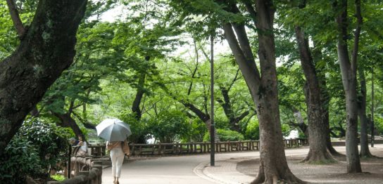東京都武蔵野市 井の頭公園