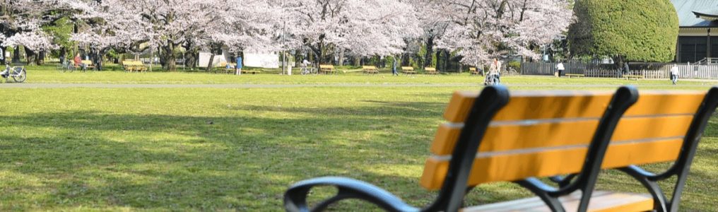 東京都小金井市 小金井公園