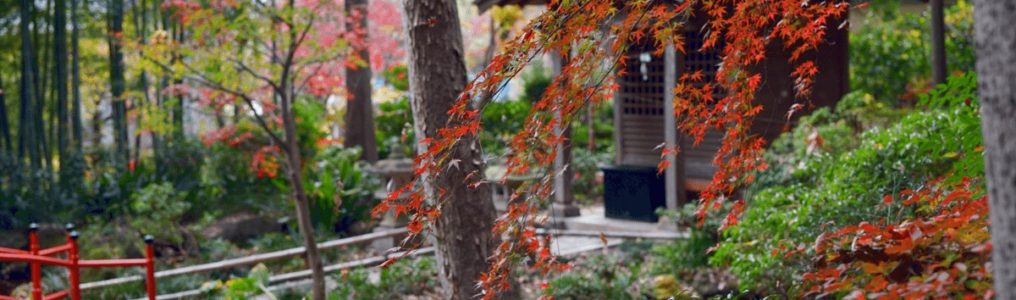 東京都国分寺市